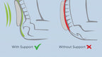 Spine posture diagram with and without the TheraMed Contoured Back Support Cushion