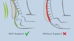 TheraMed Contoured Back Support - Connect Mobility