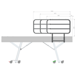 Aspire ComfiMotion Activ Care Bed Rail - Connect Mobility