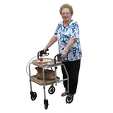 Aspire Meal Tray Walker
