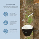 Theramed Naturelle Latex Pillow – Child Size